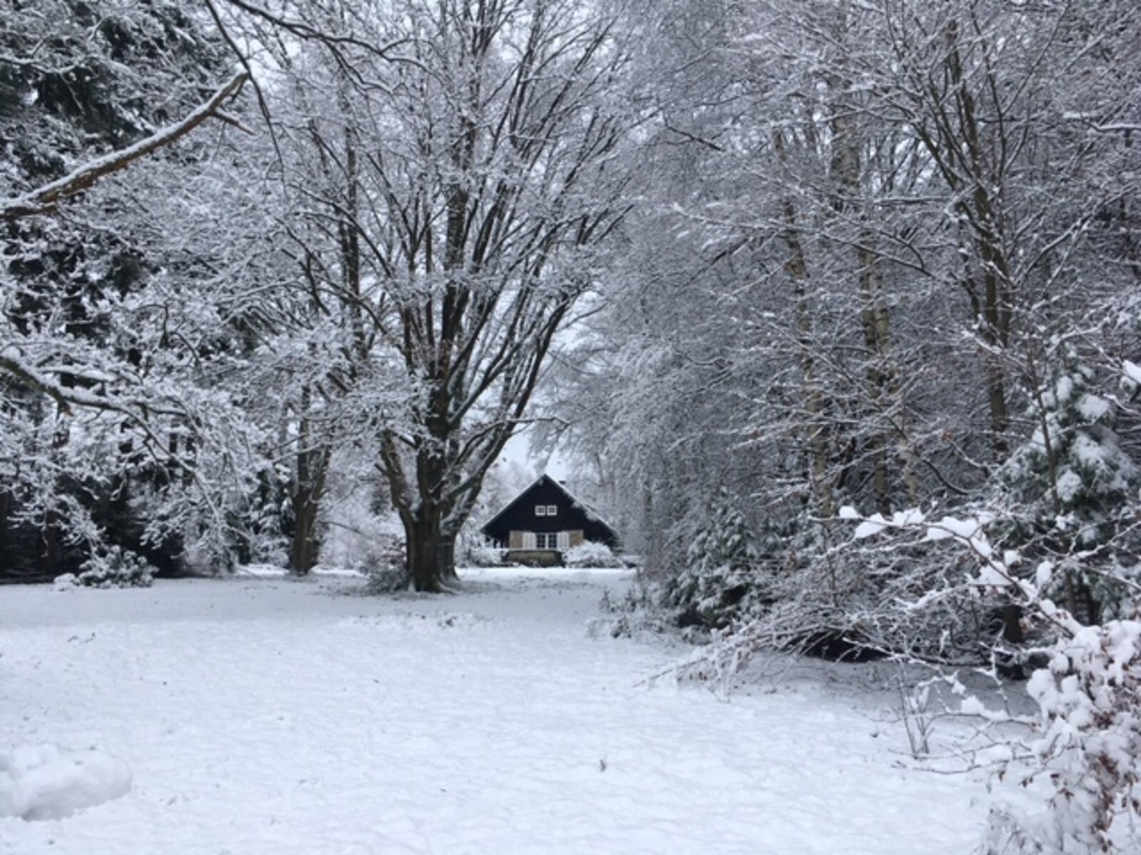 De omgeving van Vielsalm