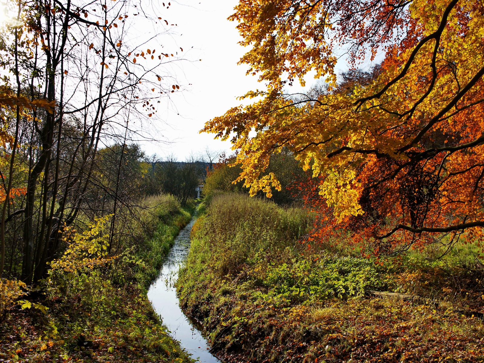 De omgeving van Wendorf