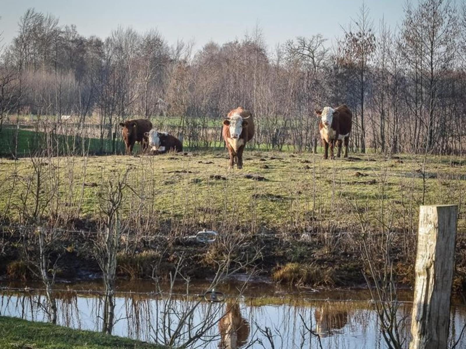 De omgeving van Zuna