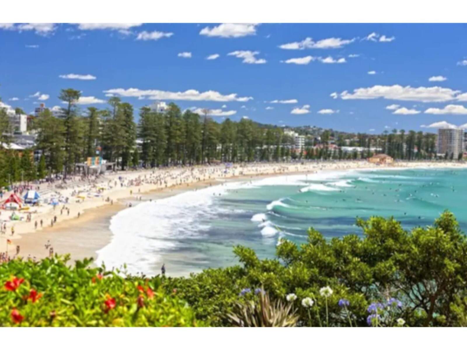 De omgeving van Manly