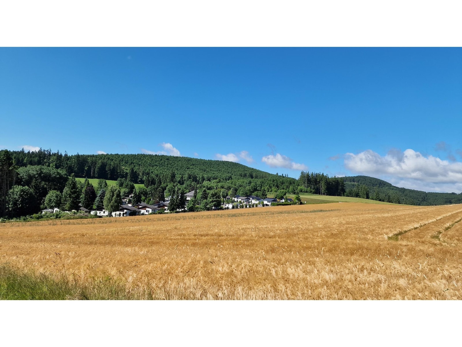 De omgeving van Willingen (Upland)