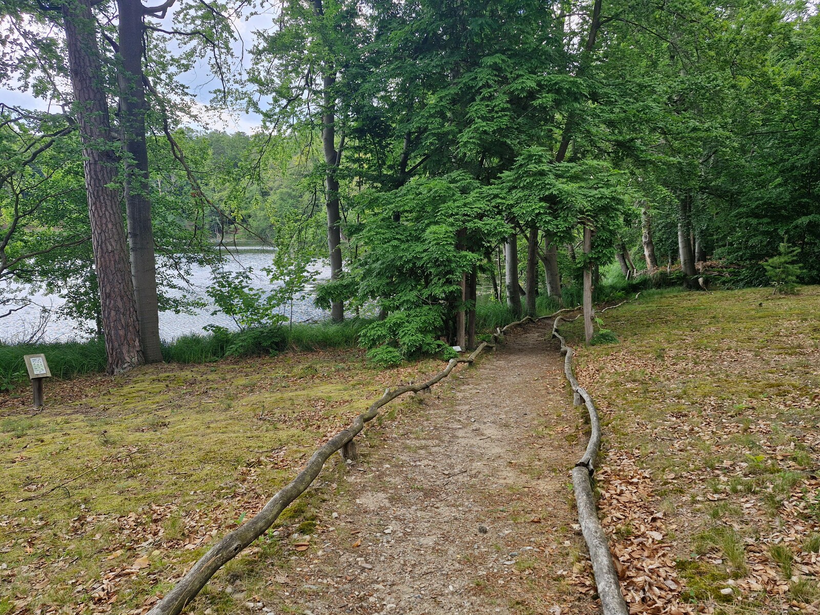De omgeving van Rheinsberg