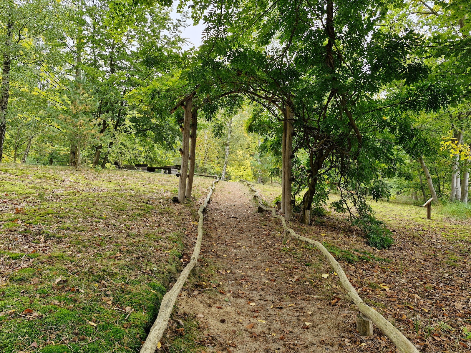 De omgeving van Rheinsberg