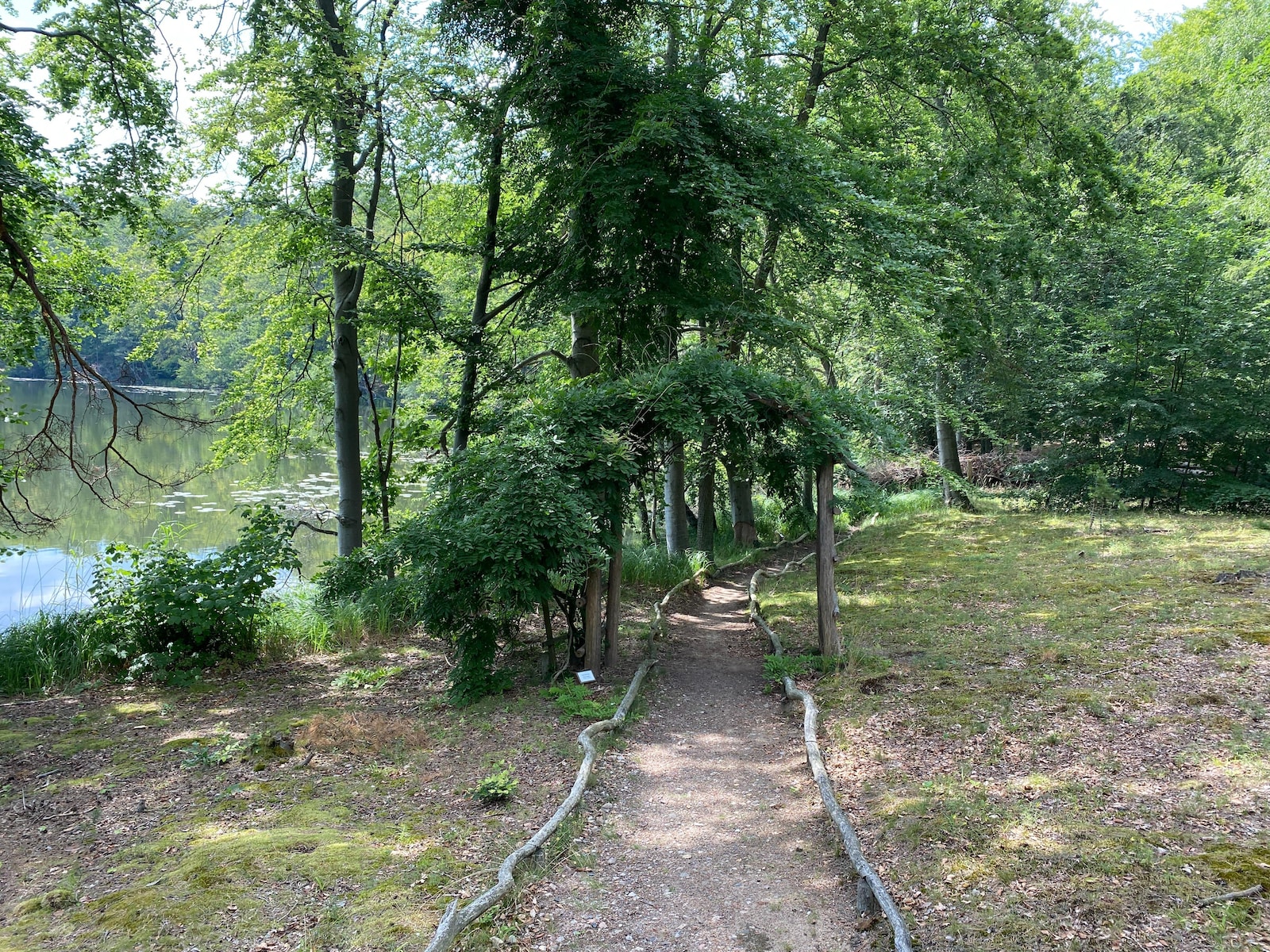 De omgeving van Rheinsberg