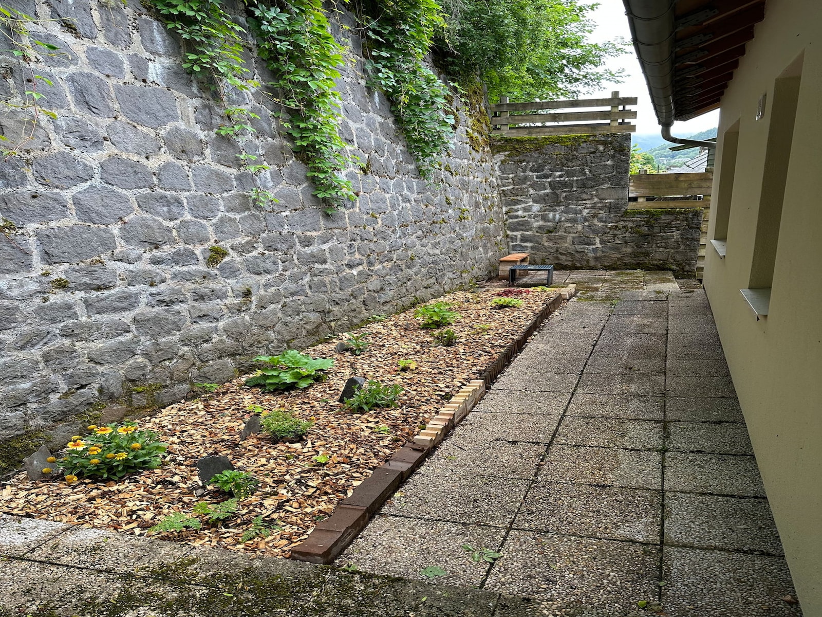 De omgeving van Mont-Dore