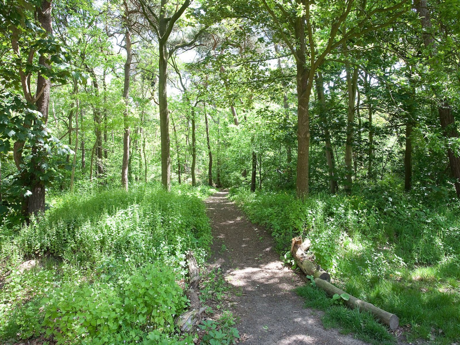 De omgeving van Oosterhout