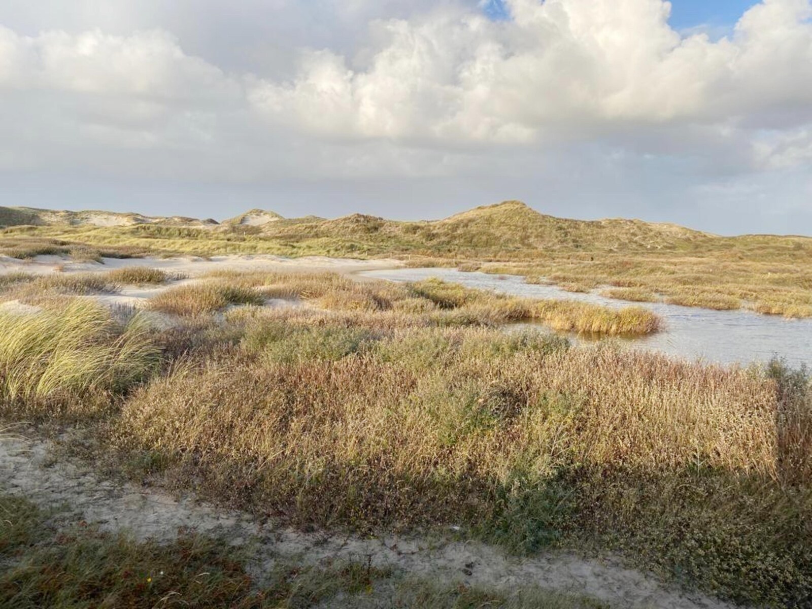 De omgeving van Sint Maarten
