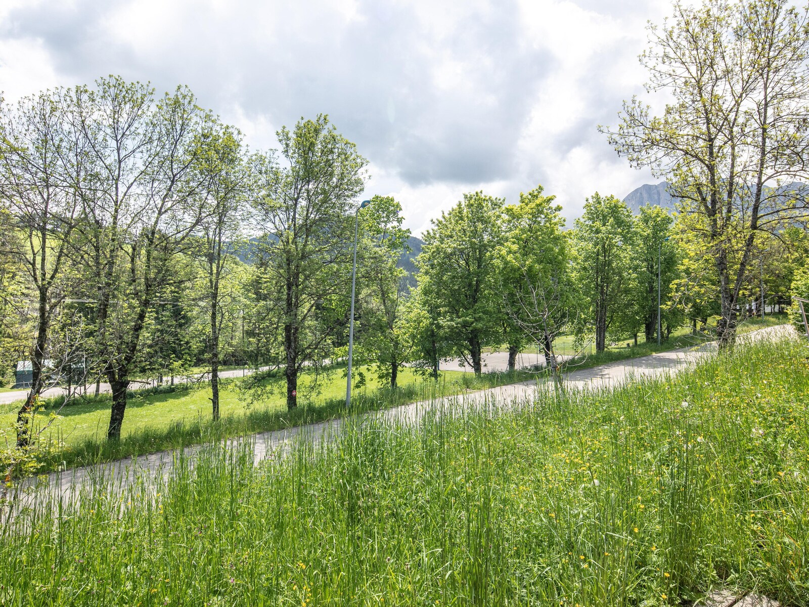 De omgeving van Gresse-En-Vercors