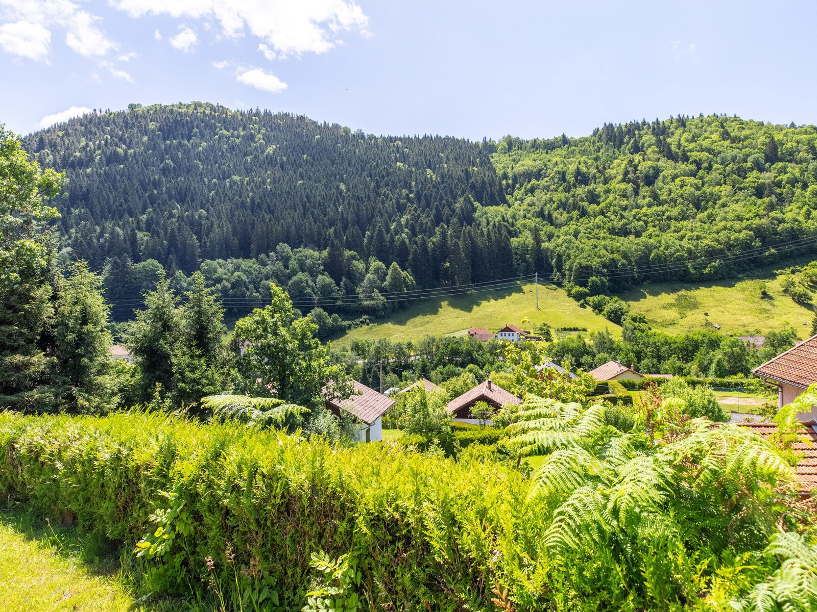 De omgeving van La Bresse