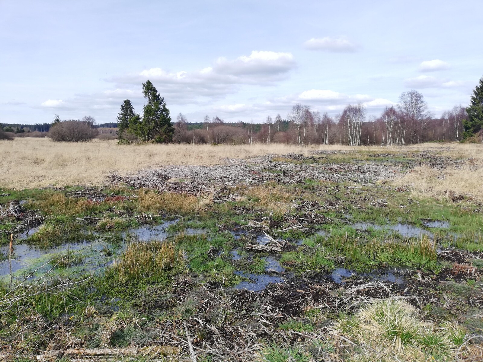 De omgeving van Sourbrodt