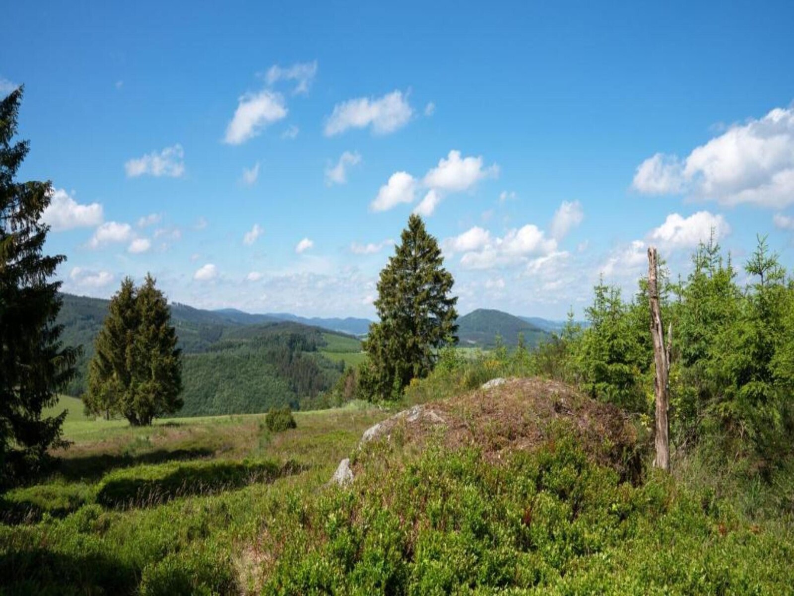 De omgeving van Medebach