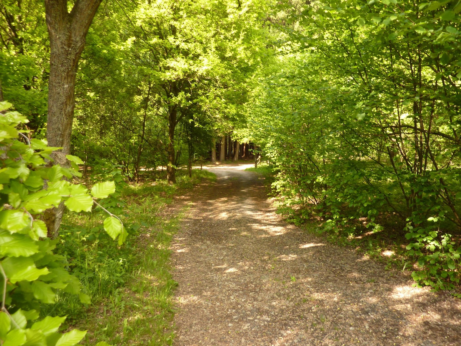 De omgeving van Trois-Ponts