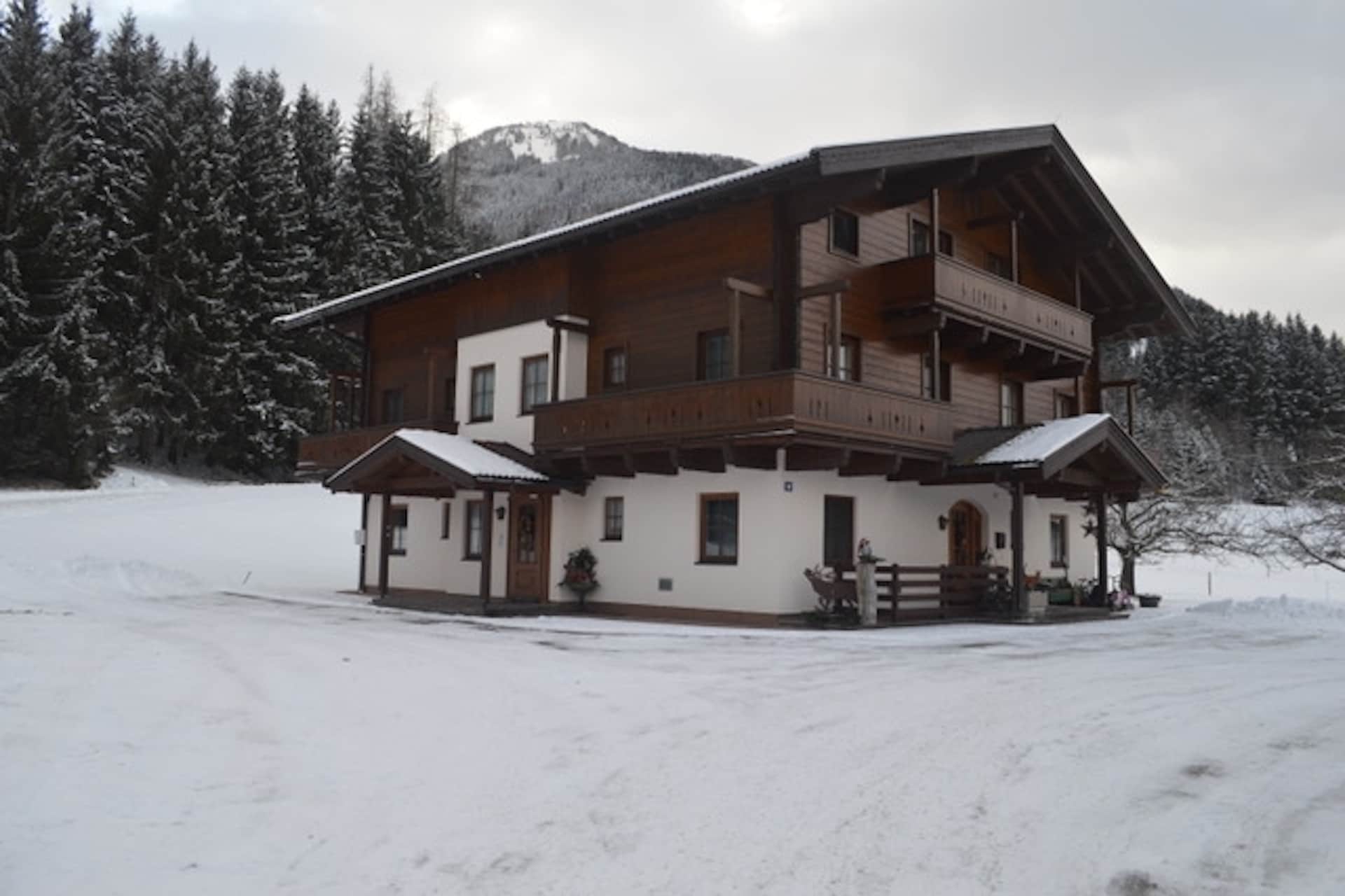 Apartment "Felbertal"