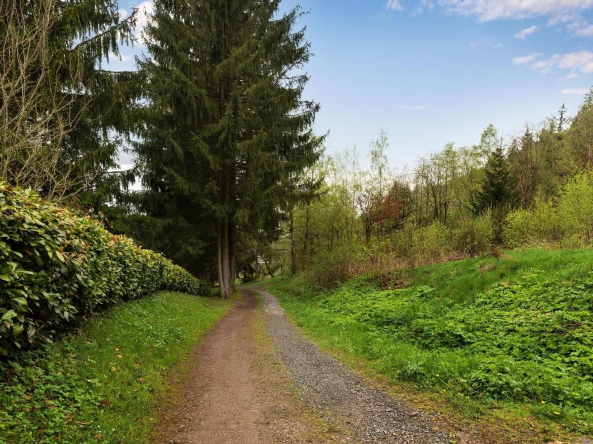 Op 700 m van de piste: rustig vakantiehuis in Steinbach-Hallenberg - foto 27