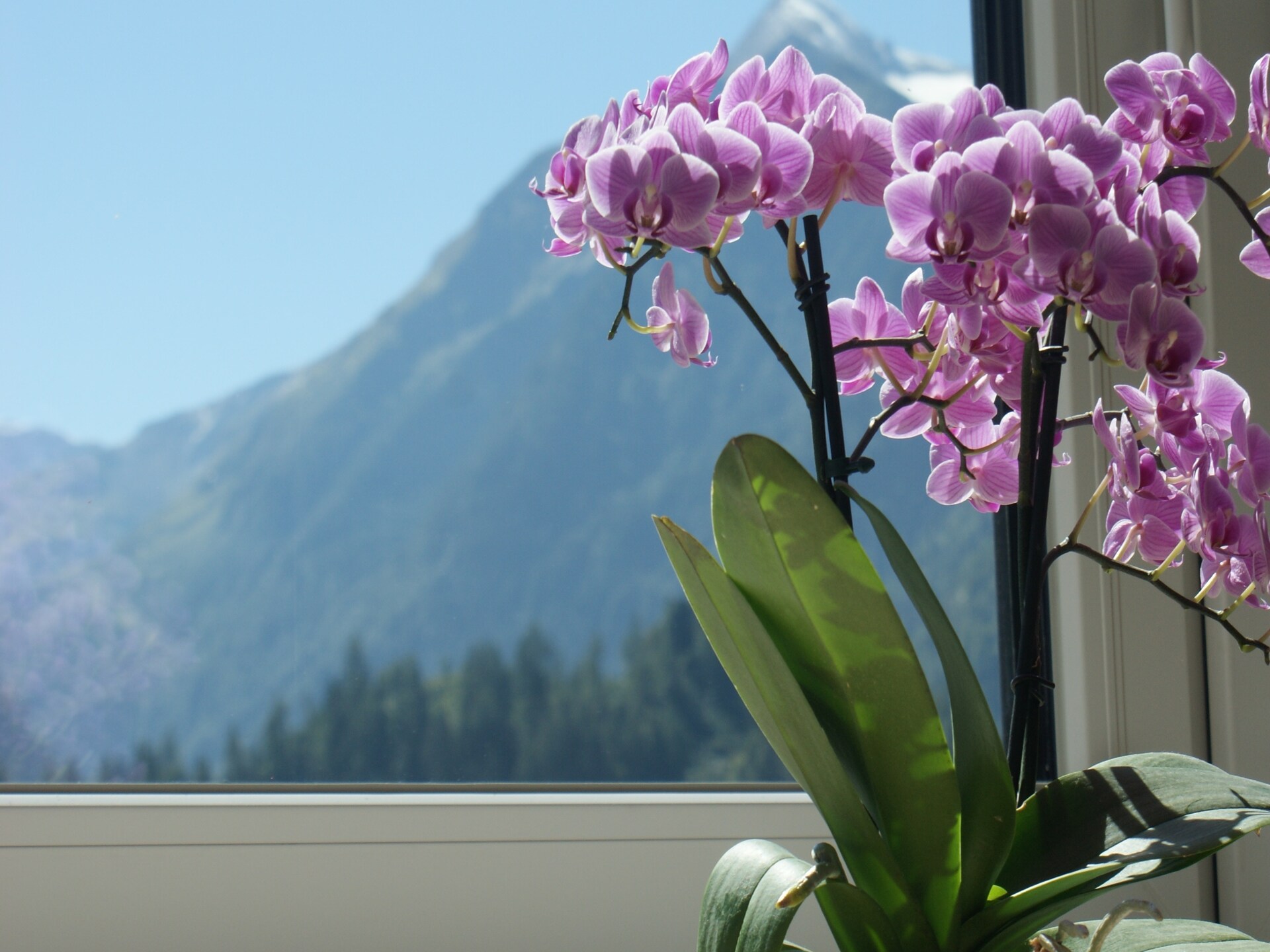 Appartement Inge: op 700m van centrum Kaprun en vlakbij de piste - foto 39