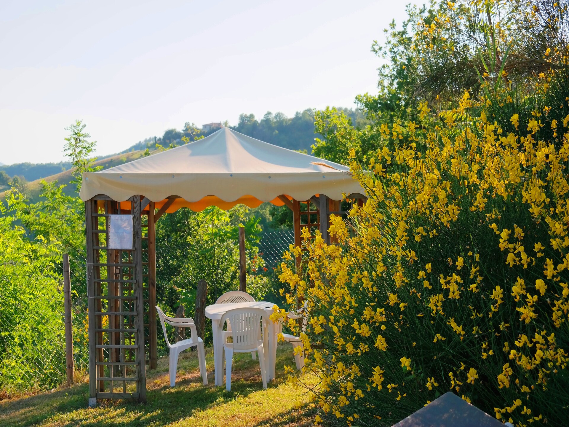 16-persoons villa met privézwembad in Acqualagna - foto 31