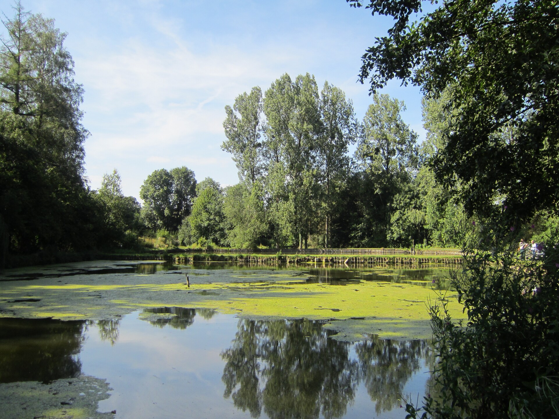 4-persoons vakantiehuis met privévijvers in Braibant Ciney - foto 29