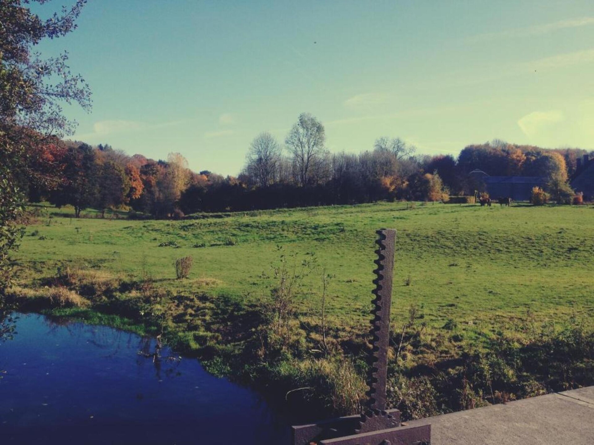 4-persoons vakantiehuis met privévijvers in Braibant Ciney - foto 31