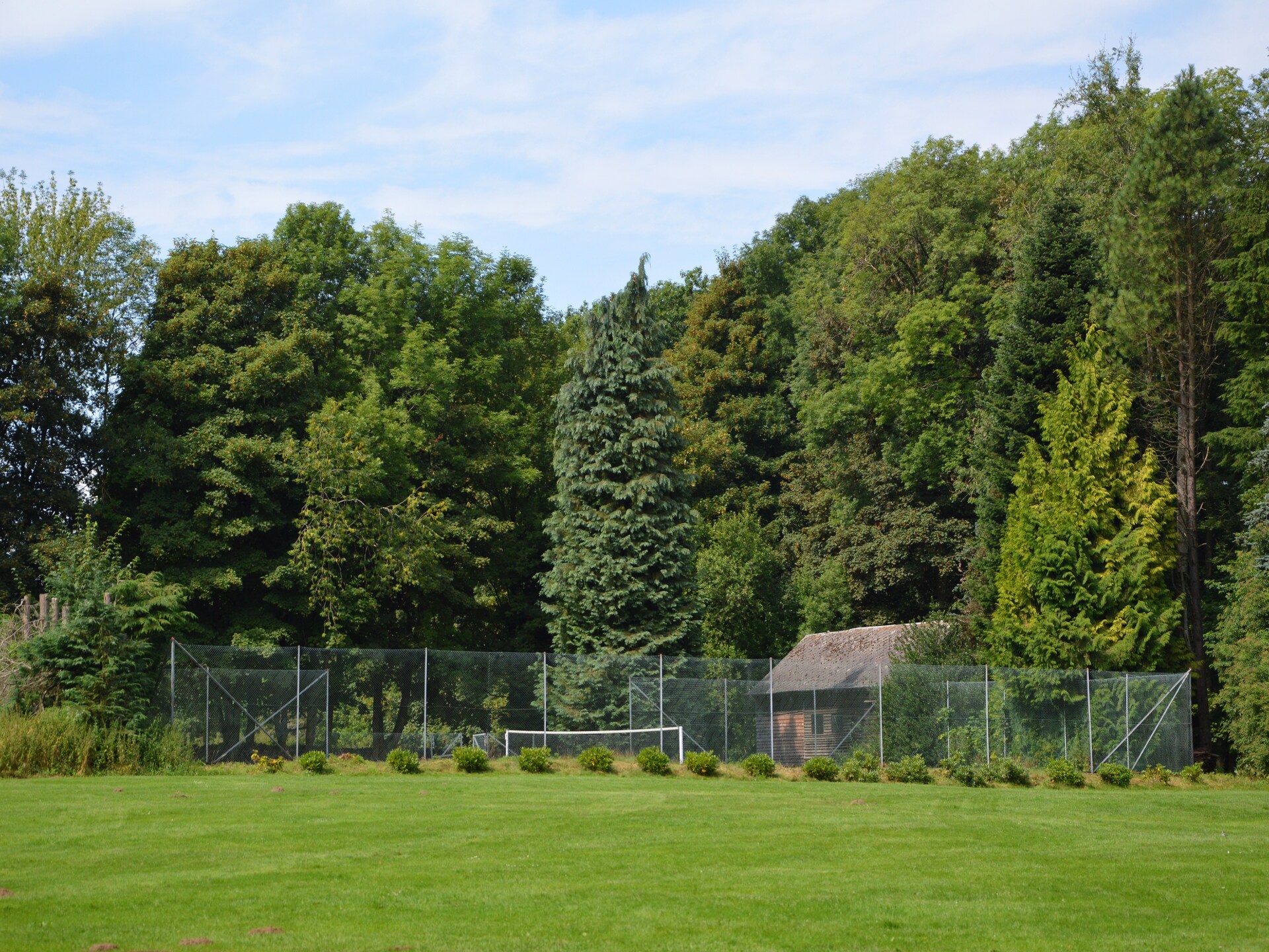 Kasteel in Bastogne voor 16 personen met bubbelbad - foto 33