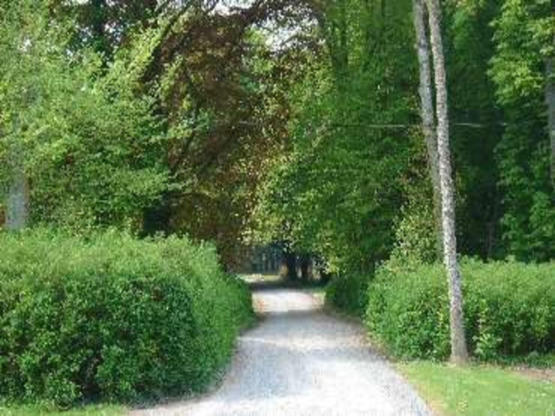 Elegant kasteelverblijf op 25 hectare landgoed in Havelange voor 8 personen - foto 38