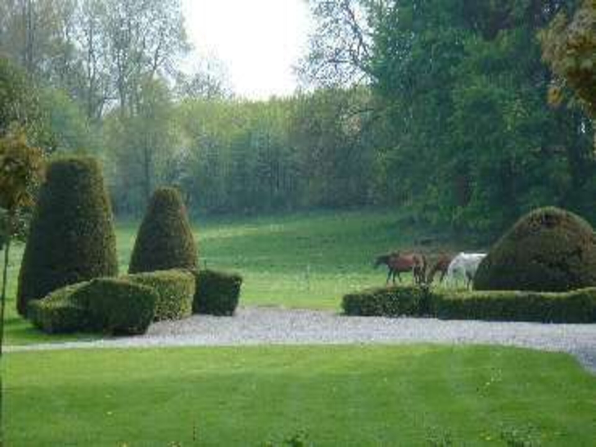 Elegant kasteelverblijf op 25 hectare landgoed in Havelange voor 8 personen - foto 31