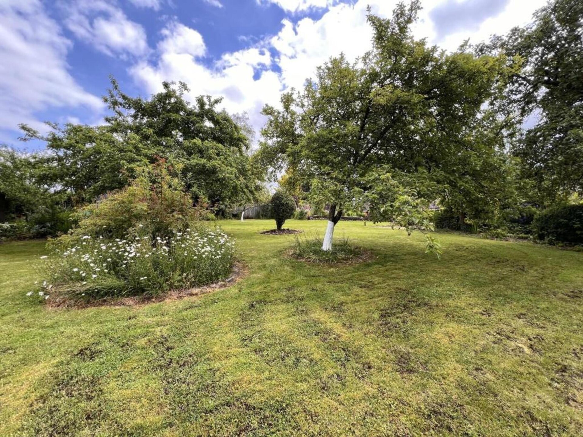 Vrijstaande villa voor 10 in de bossen bij Trois-Ponts - foto 37