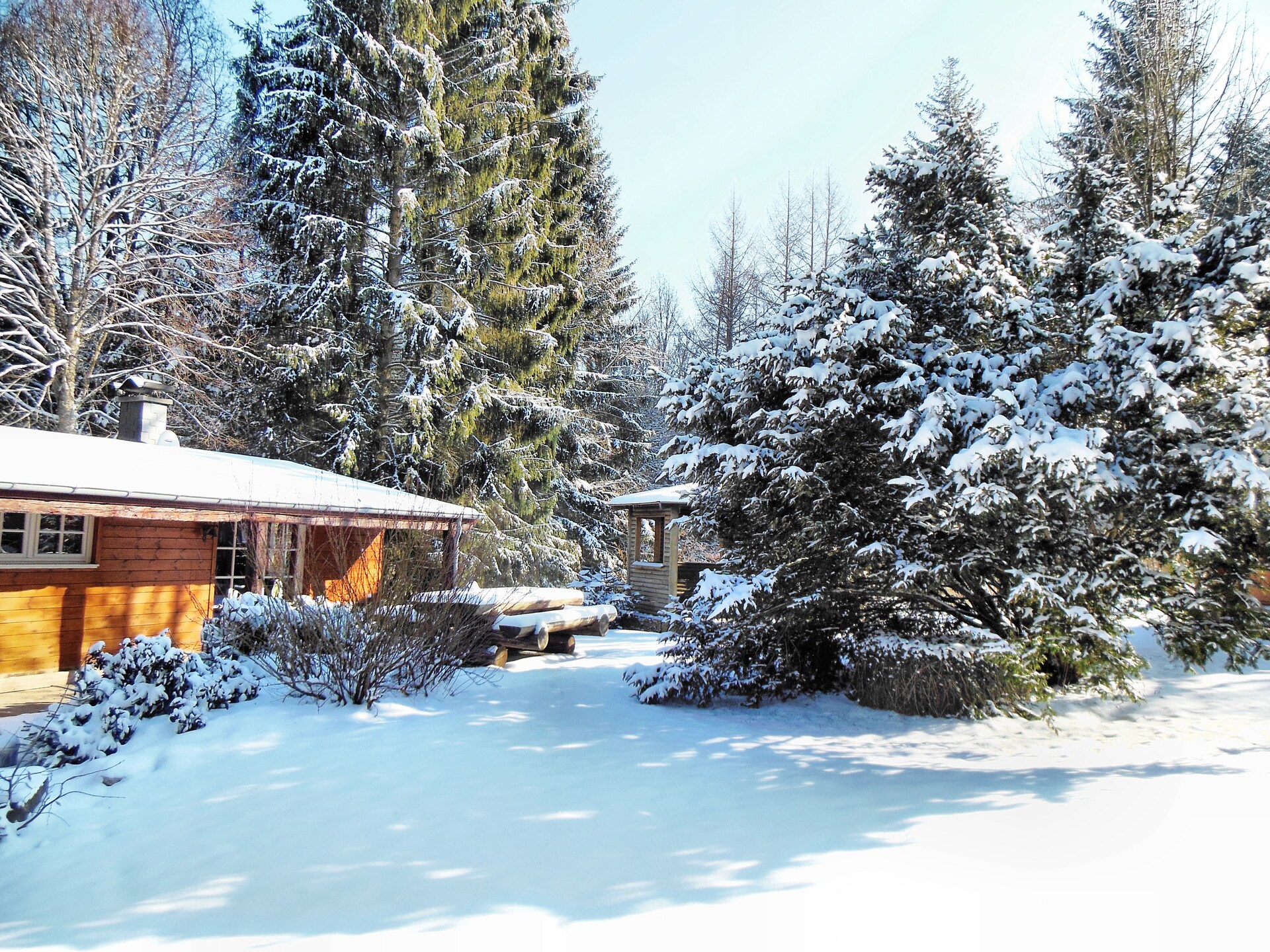 6-persoons chalet met sauna en vijver in Wibrin - foto 27