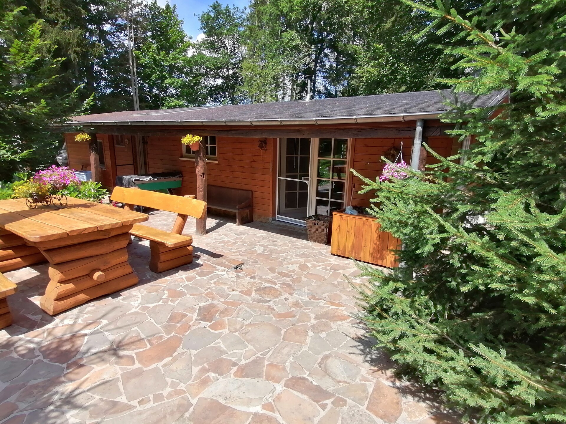 6-persoons chalet met sauna en vijver in Wibrin - foto 1