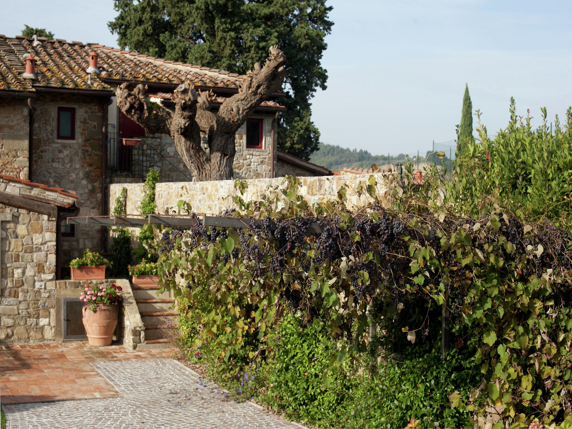 Sfeervol vakantiehuis Primrose in Greve in Chianti voor 4 personen - foto 14