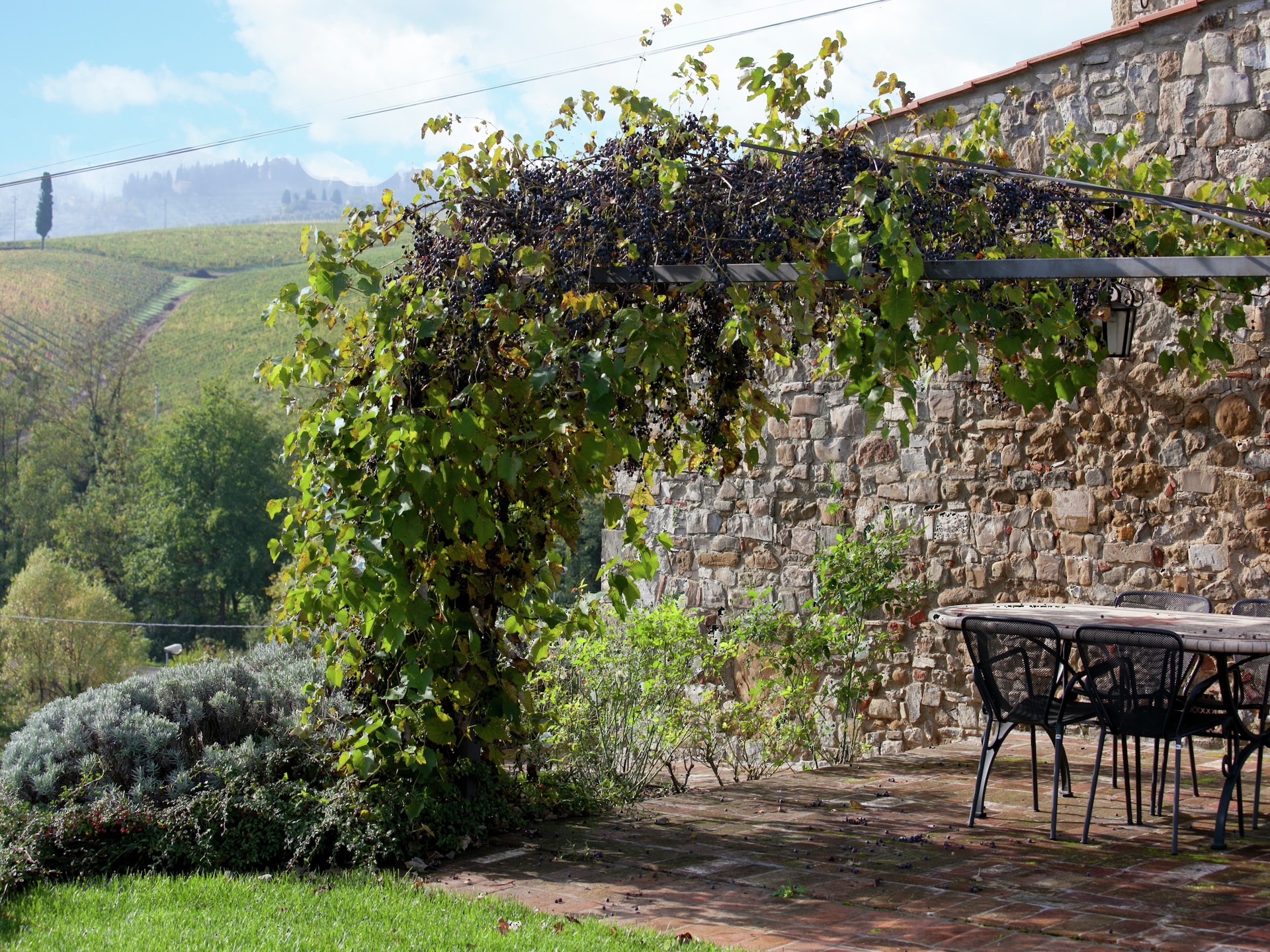 Sfeervol vakantiehuis Primrose in Greve in Chianti voor 4 personen - foto 33