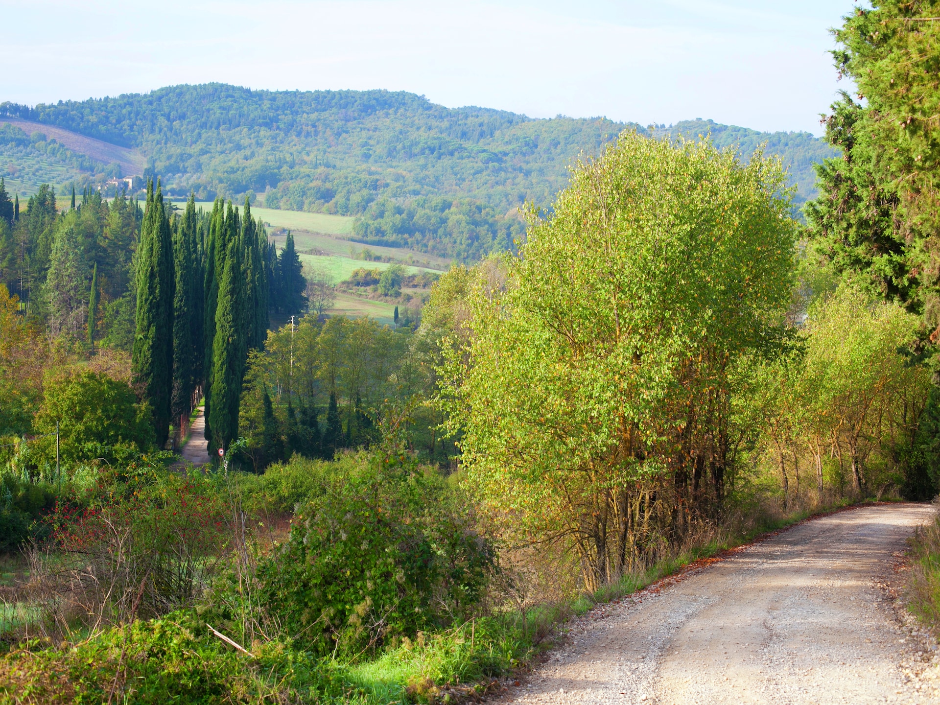 Sfeervol vakantiehuis Primrose in Greve in Chianti voor 4 personen - foto 38