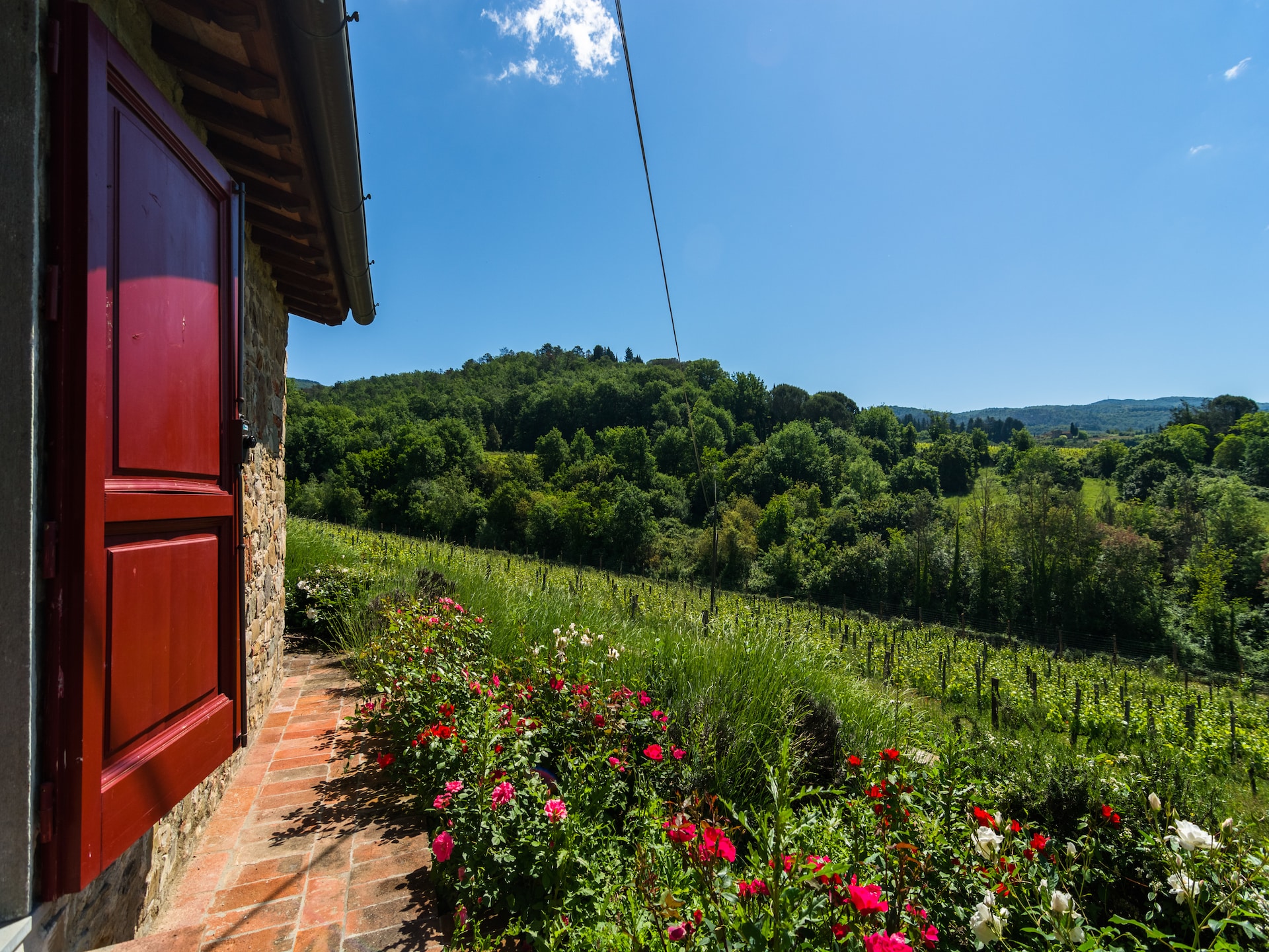 Sfeervol vakantiehuis Primrose in Greve in Chianti voor 4 personen - foto 37