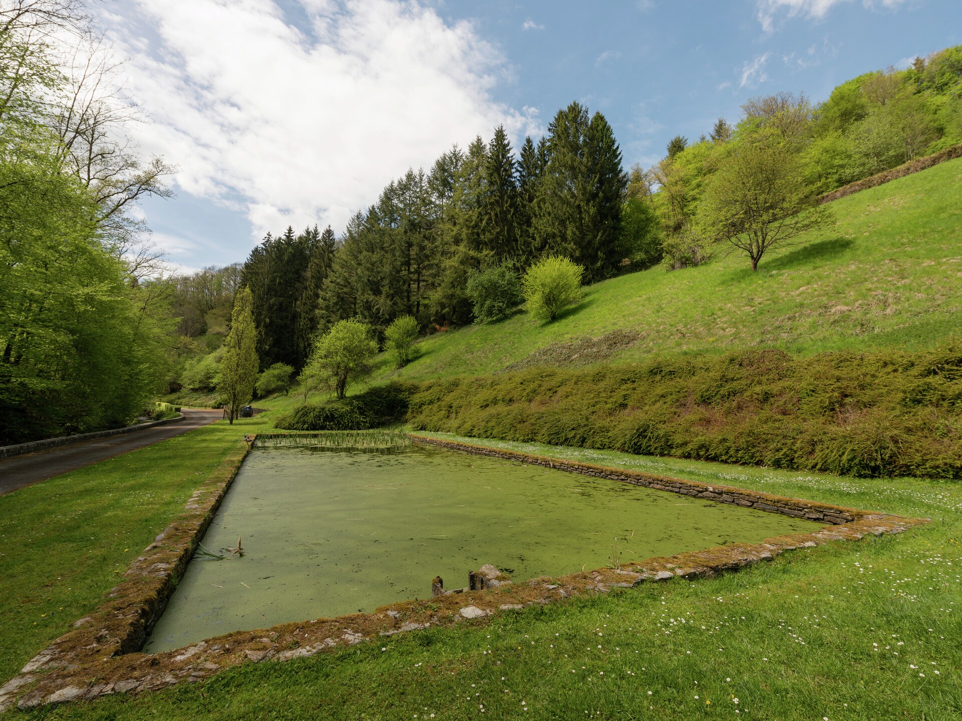 Le Vieux Moulin - foto 34