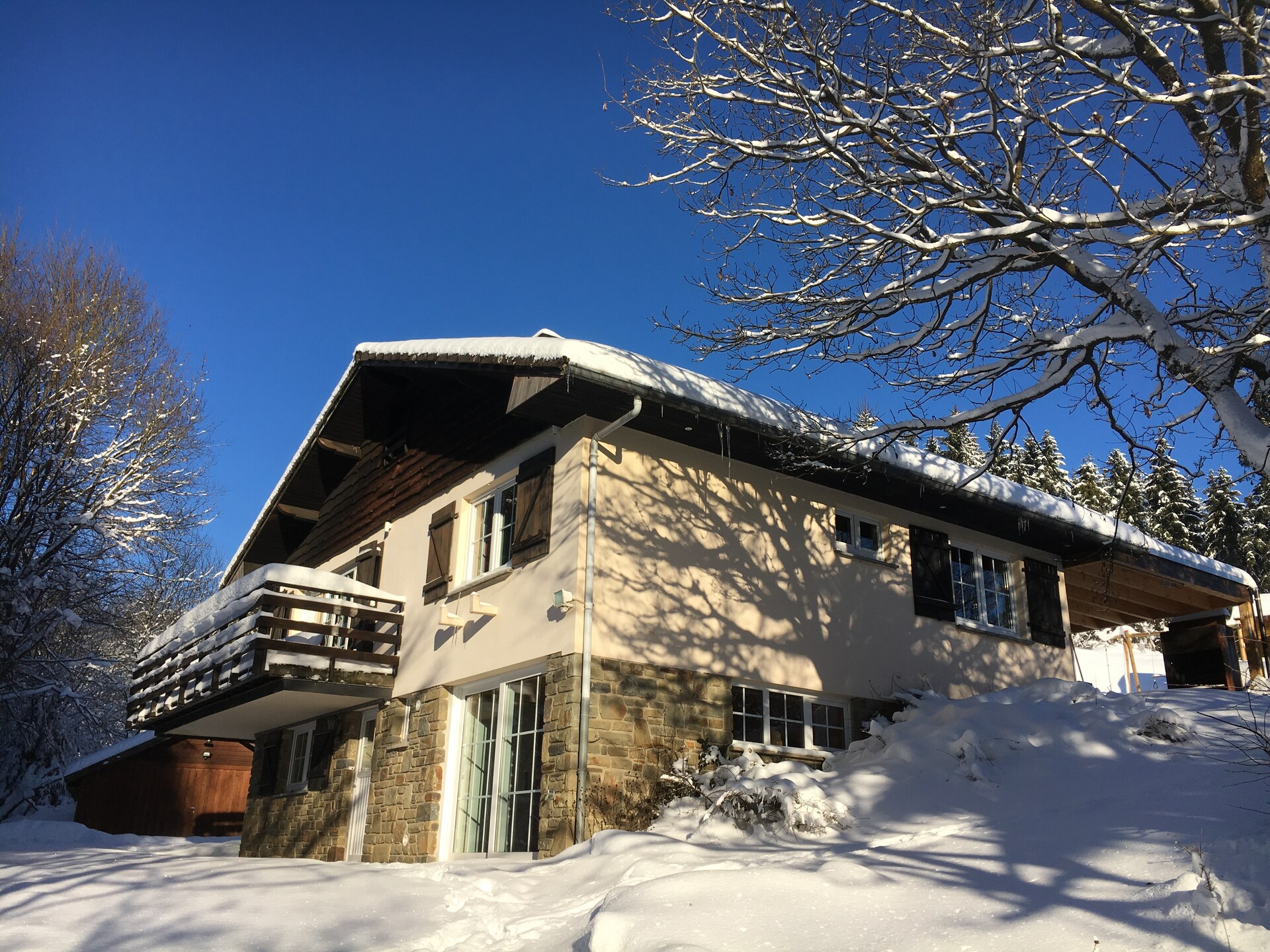 Ruim vakantiehuis voor 12 personen in de bossen van Longfaye, vlakbij Malmedy - foto 37