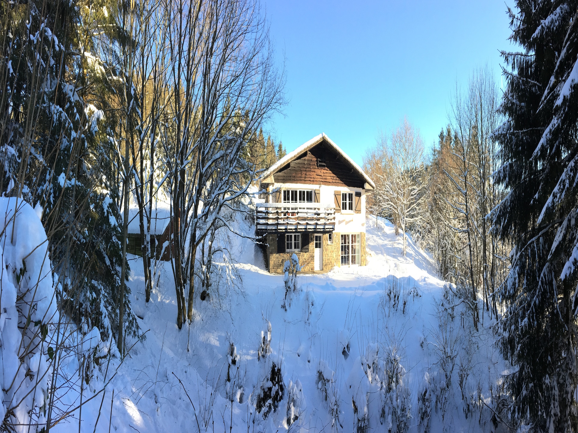 Ruim vakantiehuis voor 12 personen in de bossen van Longfaye, vlakbij Malmedy - foto 38