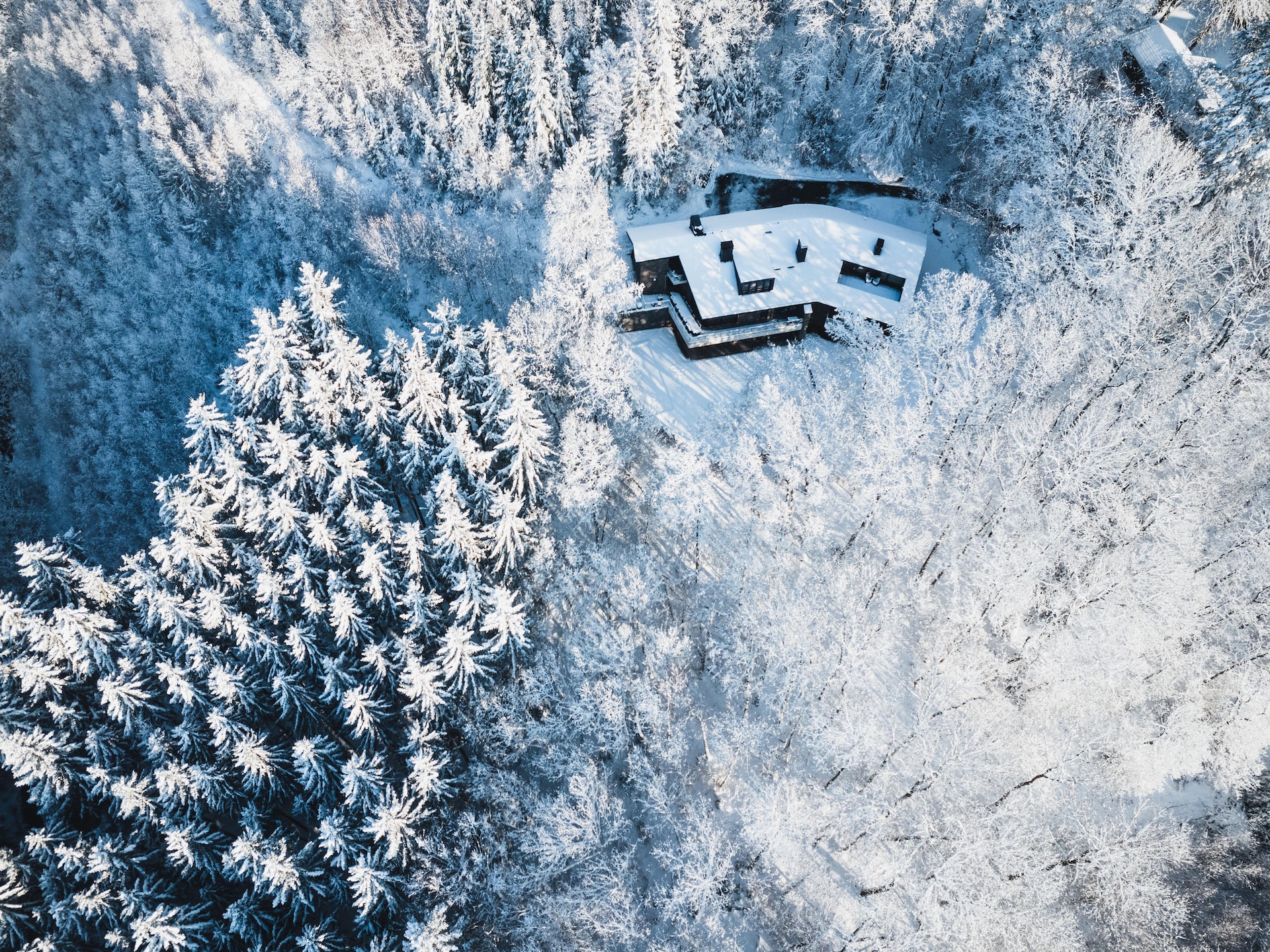 Luxe villa voor 20 personen met privézwembad en sauna in de bossen bij Malmedy - foto 10