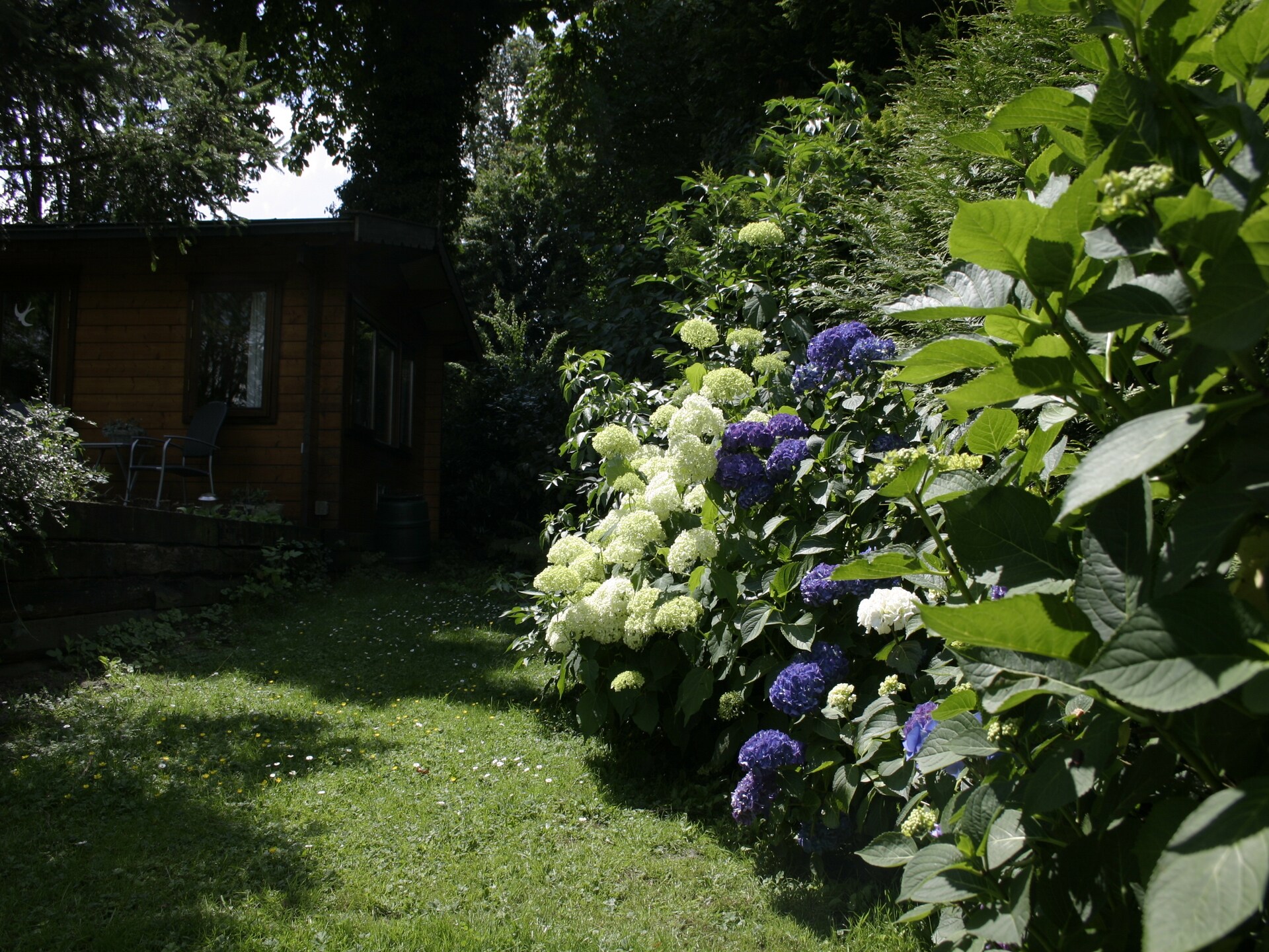 Luxe chalet met terras en tuin op rustig vakantiepark bij Ootmarsum - foto 14