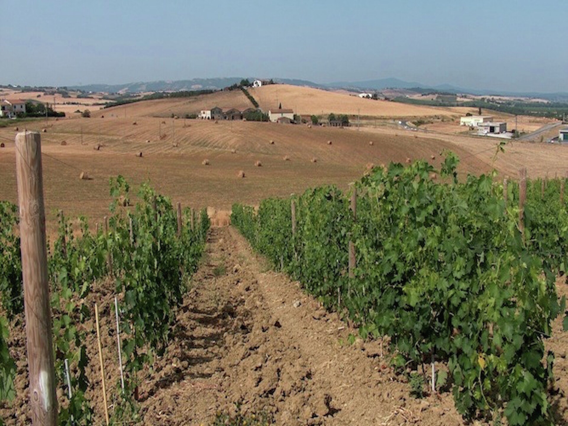 Authentieke biologische boerderij met zwembad bij Castel del Piano, Toscane - foto 38
