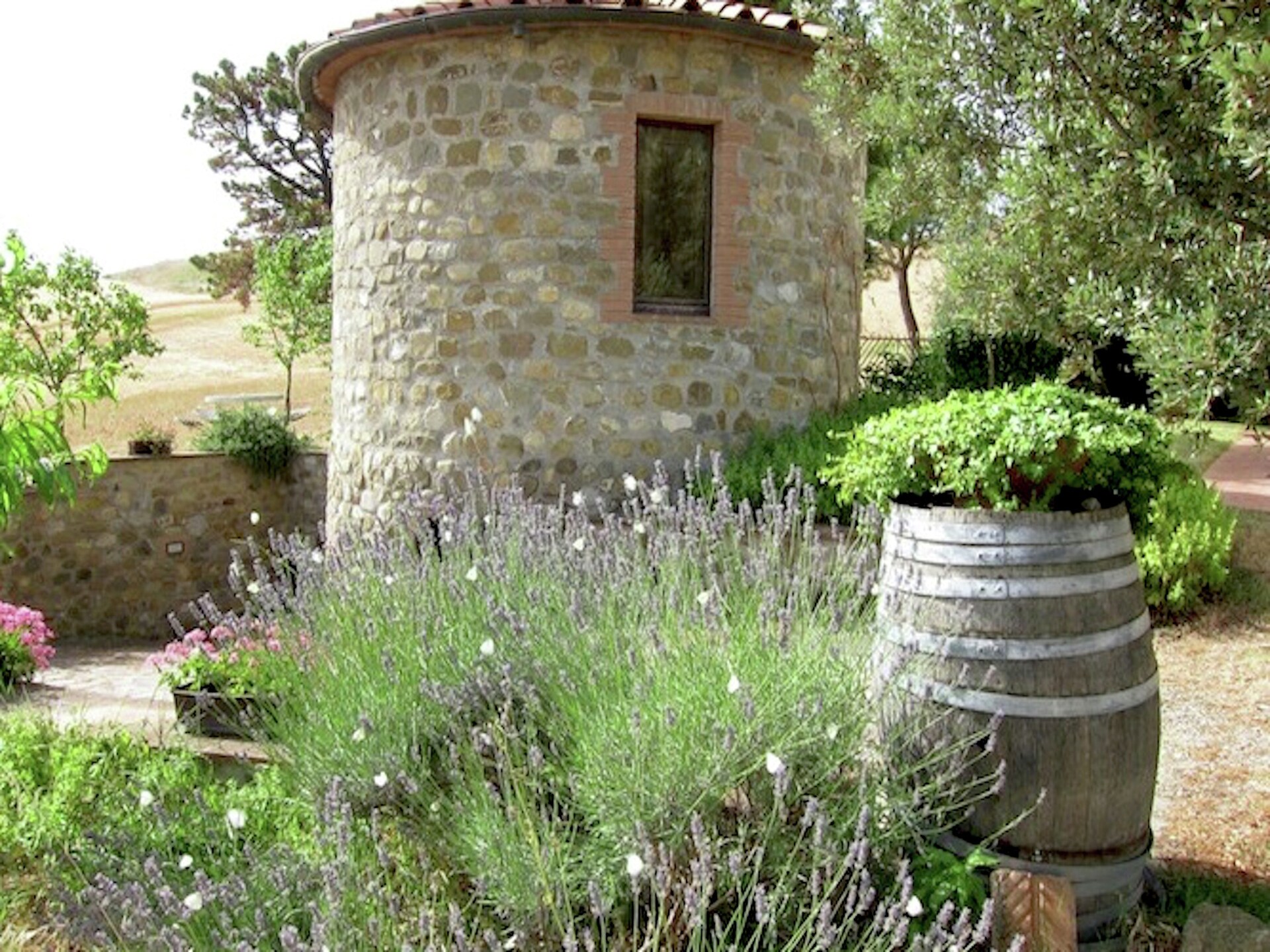 Authentieke biologische boerderij met zwembad bij Castel del Piano, Toscane - foto 30