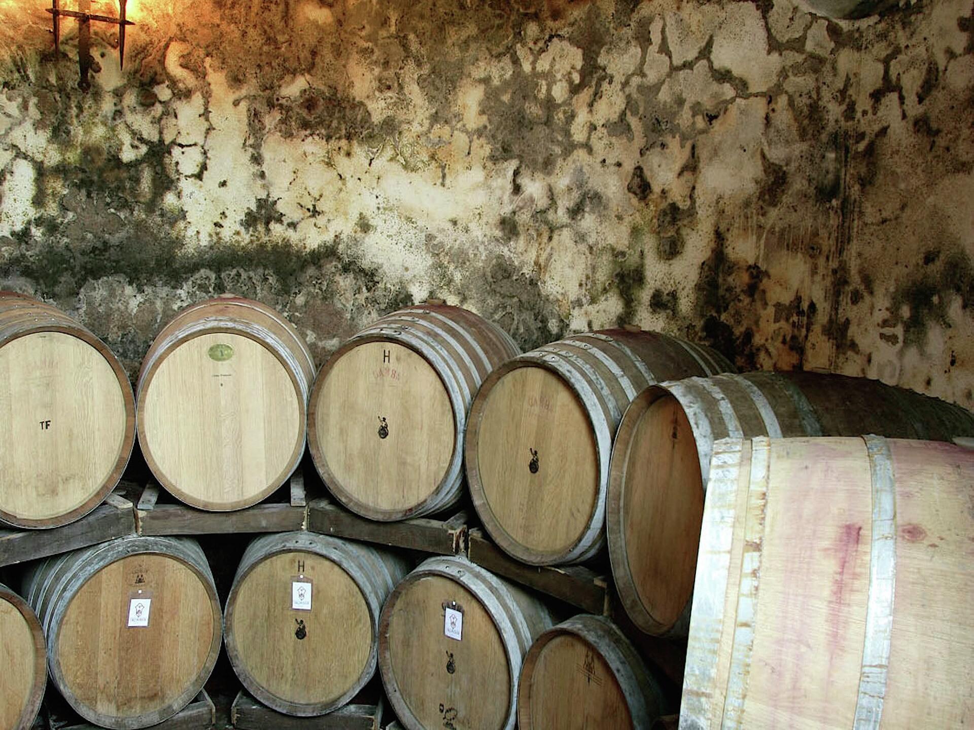 Authentieke biologische boerderij met zwembad bij Castel del Piano, Toscane - foto 32