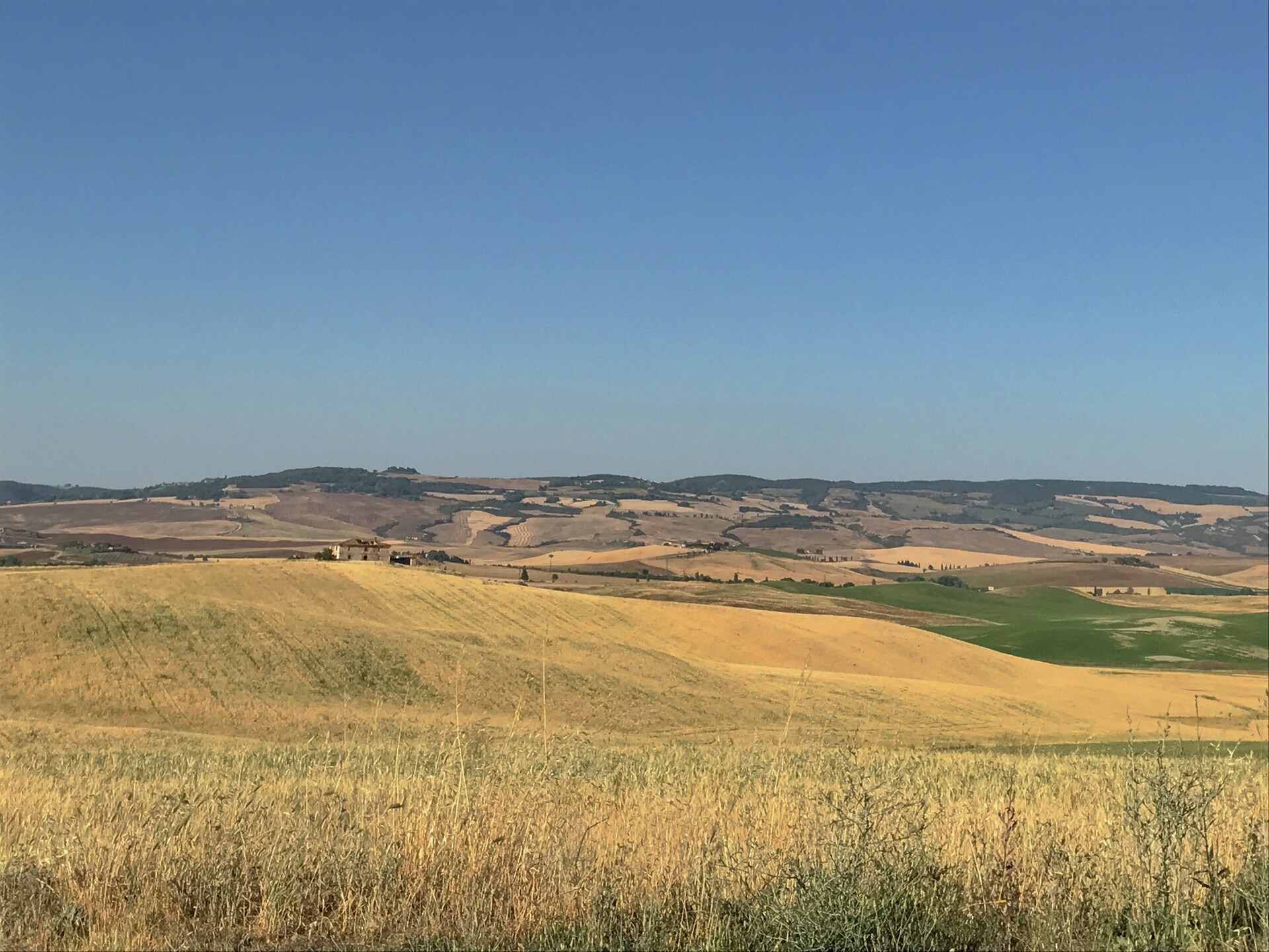 Authentieke biologische boerderij met zwembad bij Castel del Piano, Toscane - foto 35