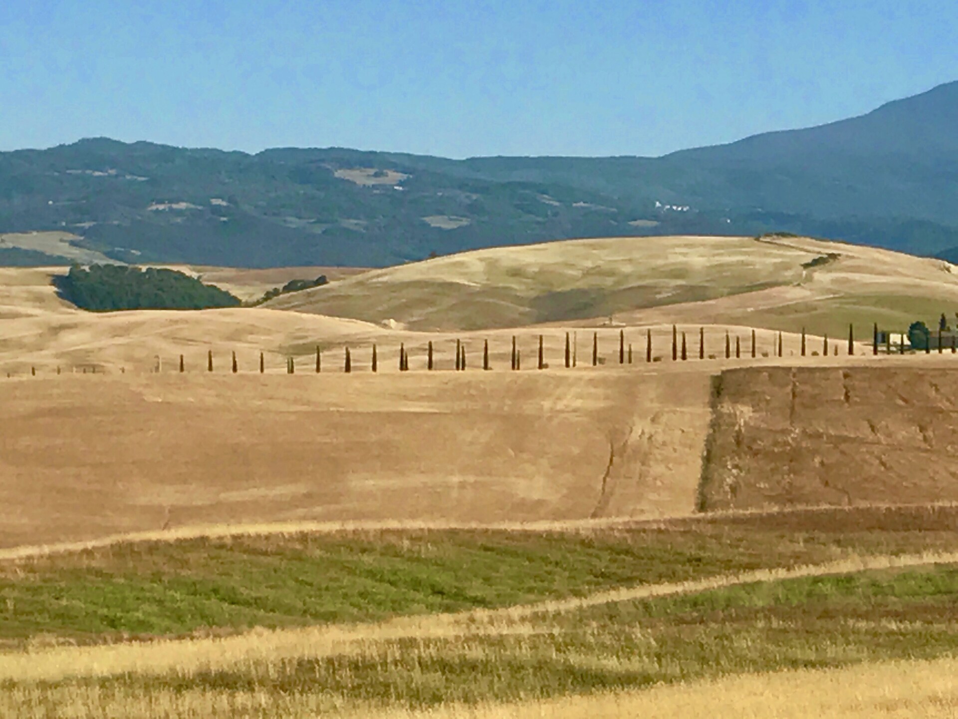 Authentieke biologische boerderij met zwembad bij Castel del Piano, Toscane - foto 37