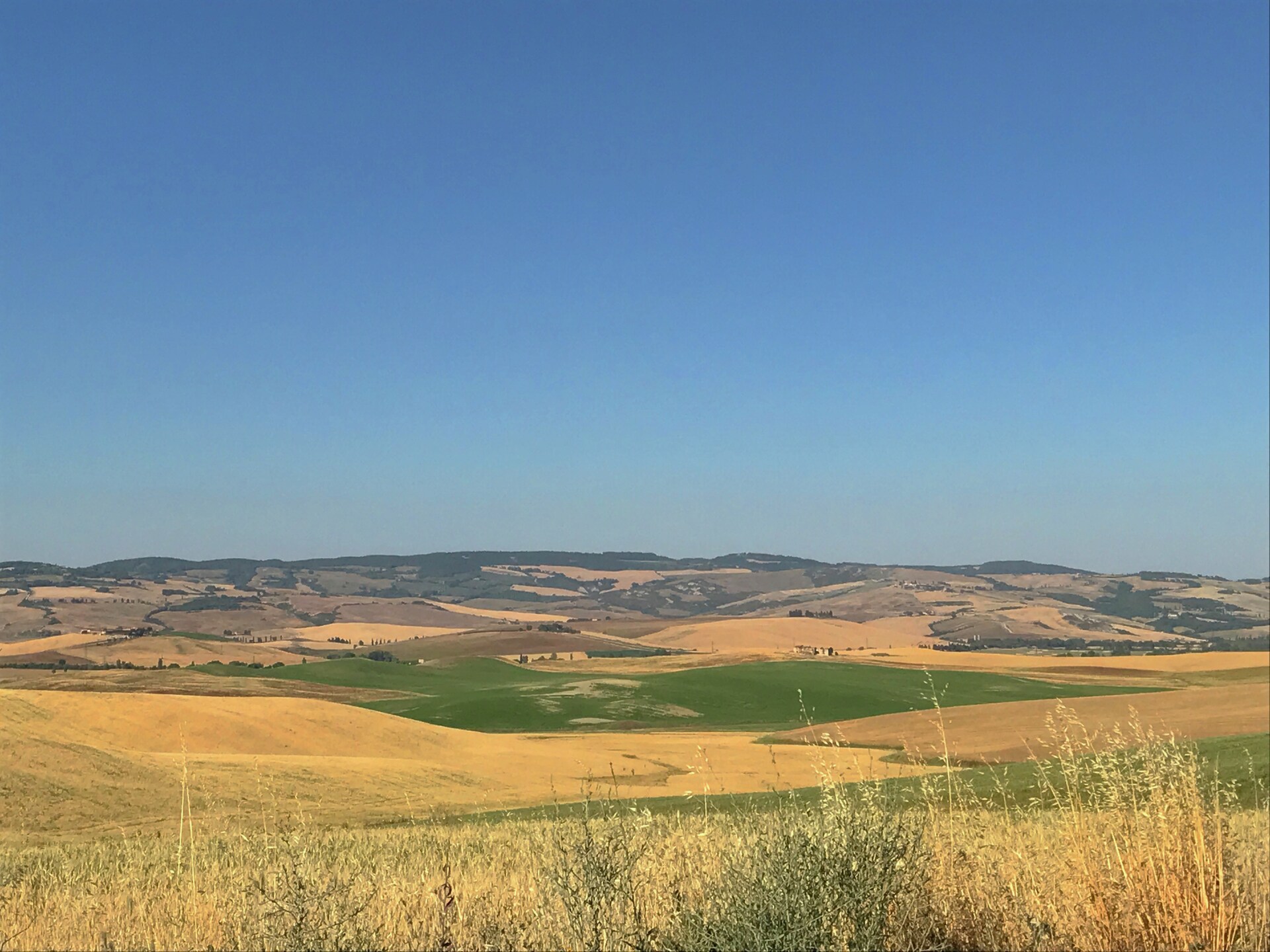 Authentieke biologische boerderij met zwembad bij Castel del Piano, Toscane - foto 36