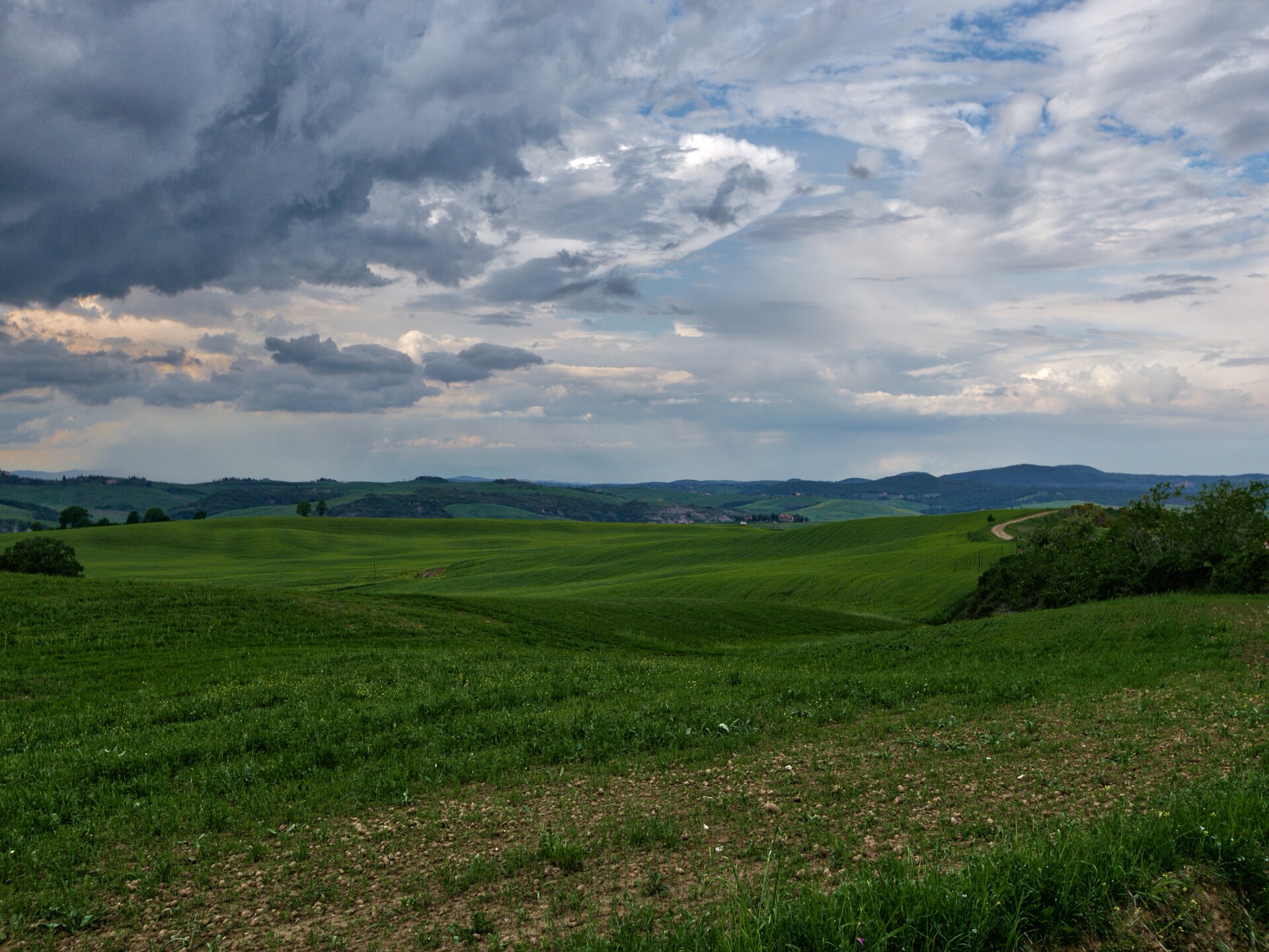 Authentieke biologische boerderij met zwembad bij Castel del Piano, Toscane - foto 34