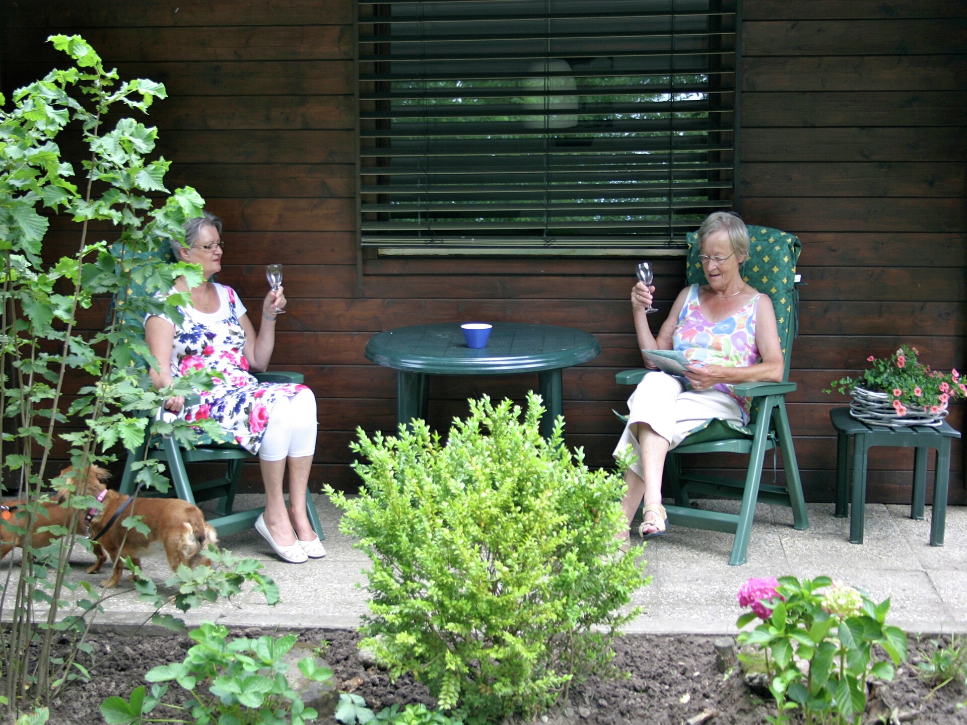 Vrijstaand chalet op de Kuiperberg in Ootmarsum, 50m² - foto 13