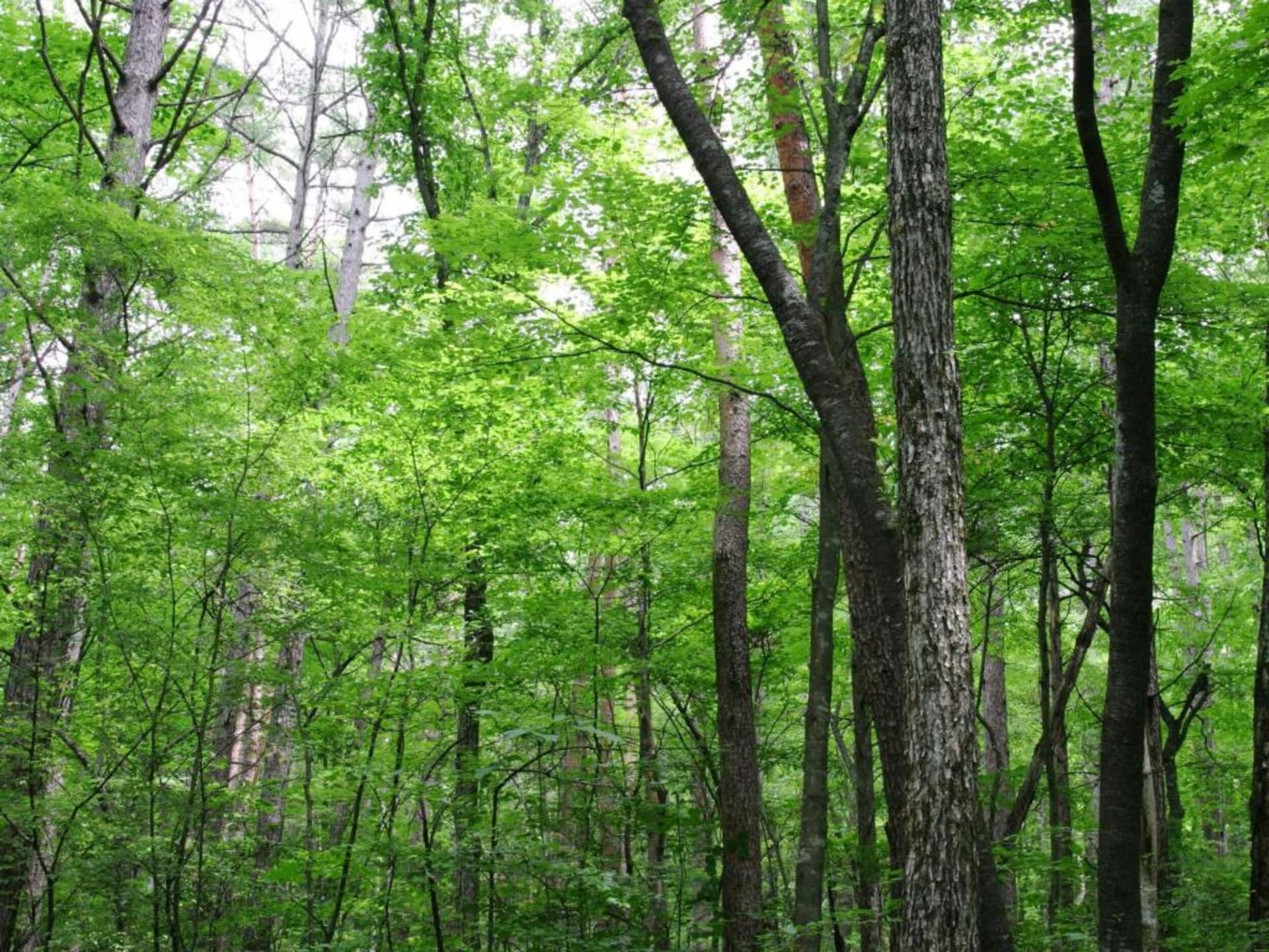4-persoons vakantiehuis met bubbelbad in Marcouray - foto 36