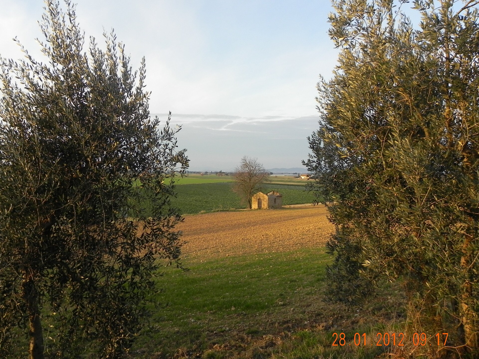 Sfeervol vakantiehuis Armonia in Campiglia Marittima - foto 30