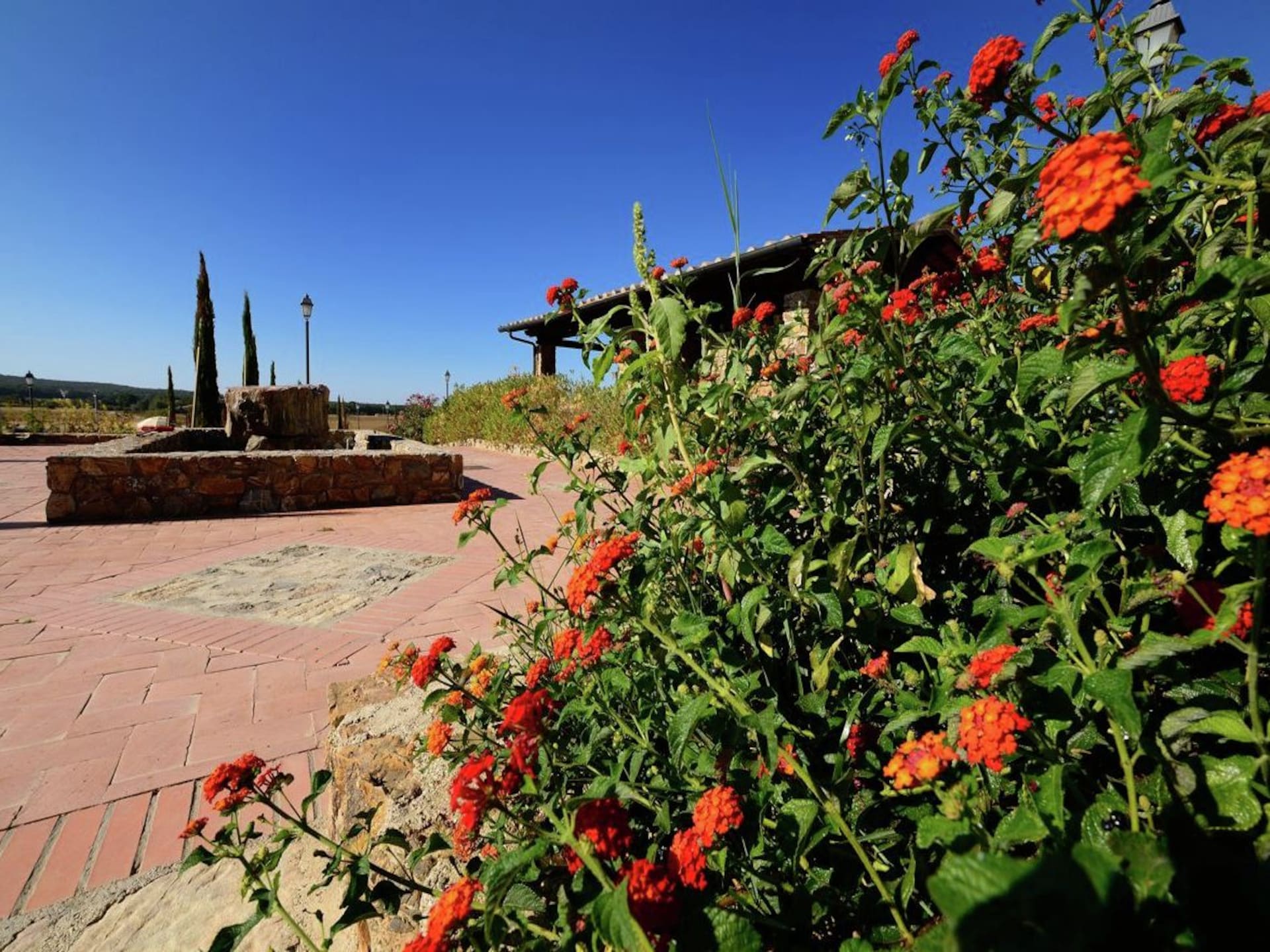 Sfeervol vakantiehuis Armonia in Campiglia Marittima - foto 28