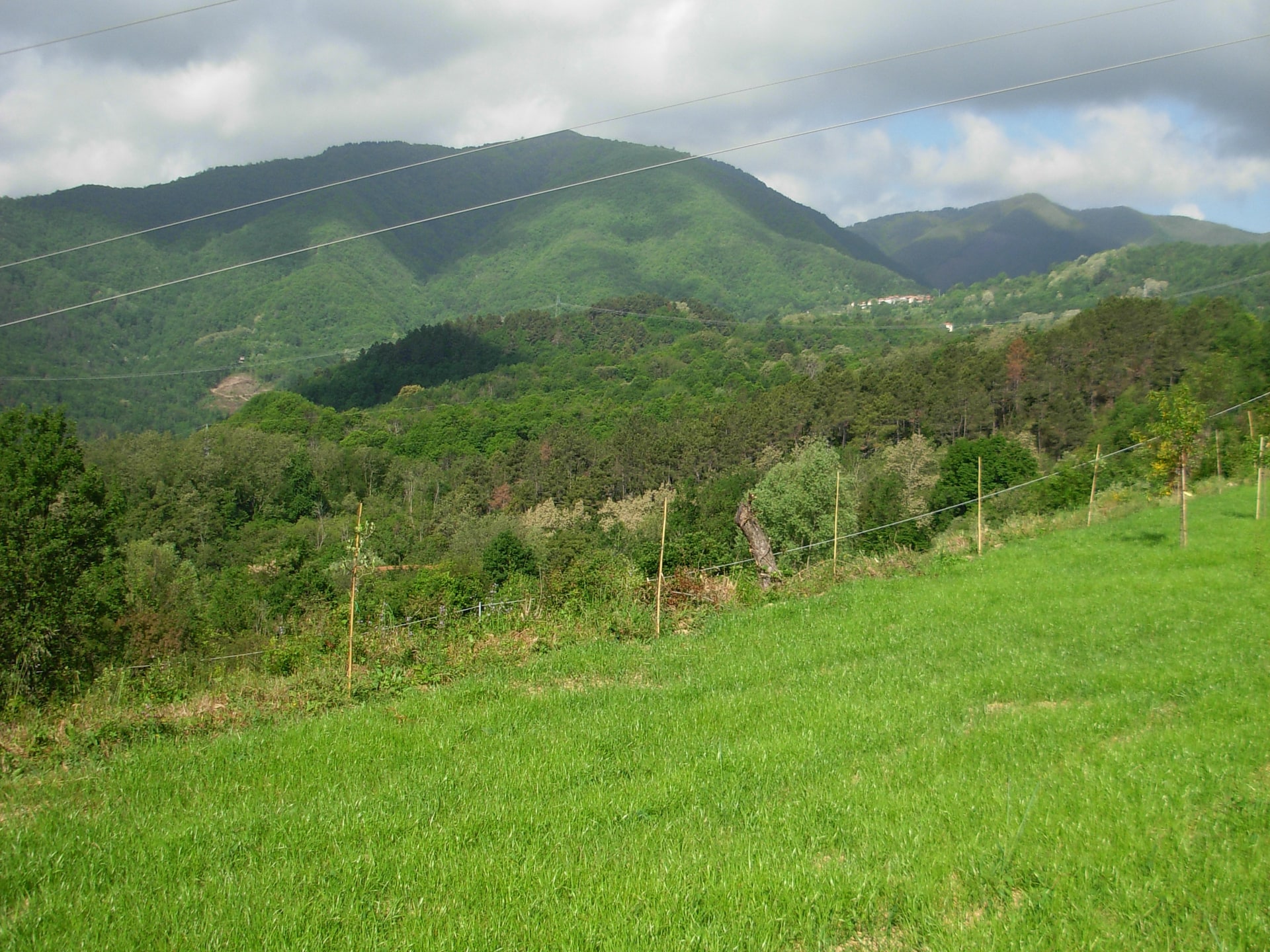 Toscaans vakantiehuis voor 6 in Mulazzo met natuurlijke zwemvijver - foto 27