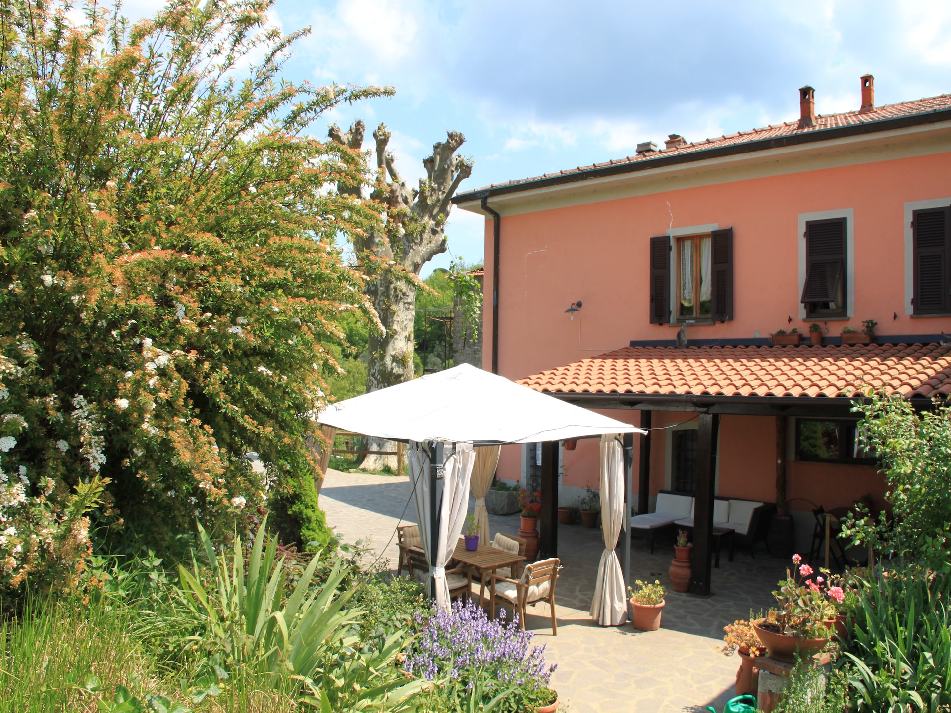 Toscaans vakantiehuis voor 6 in Mulazzo met natuurlijke zwemvijver - foto 17